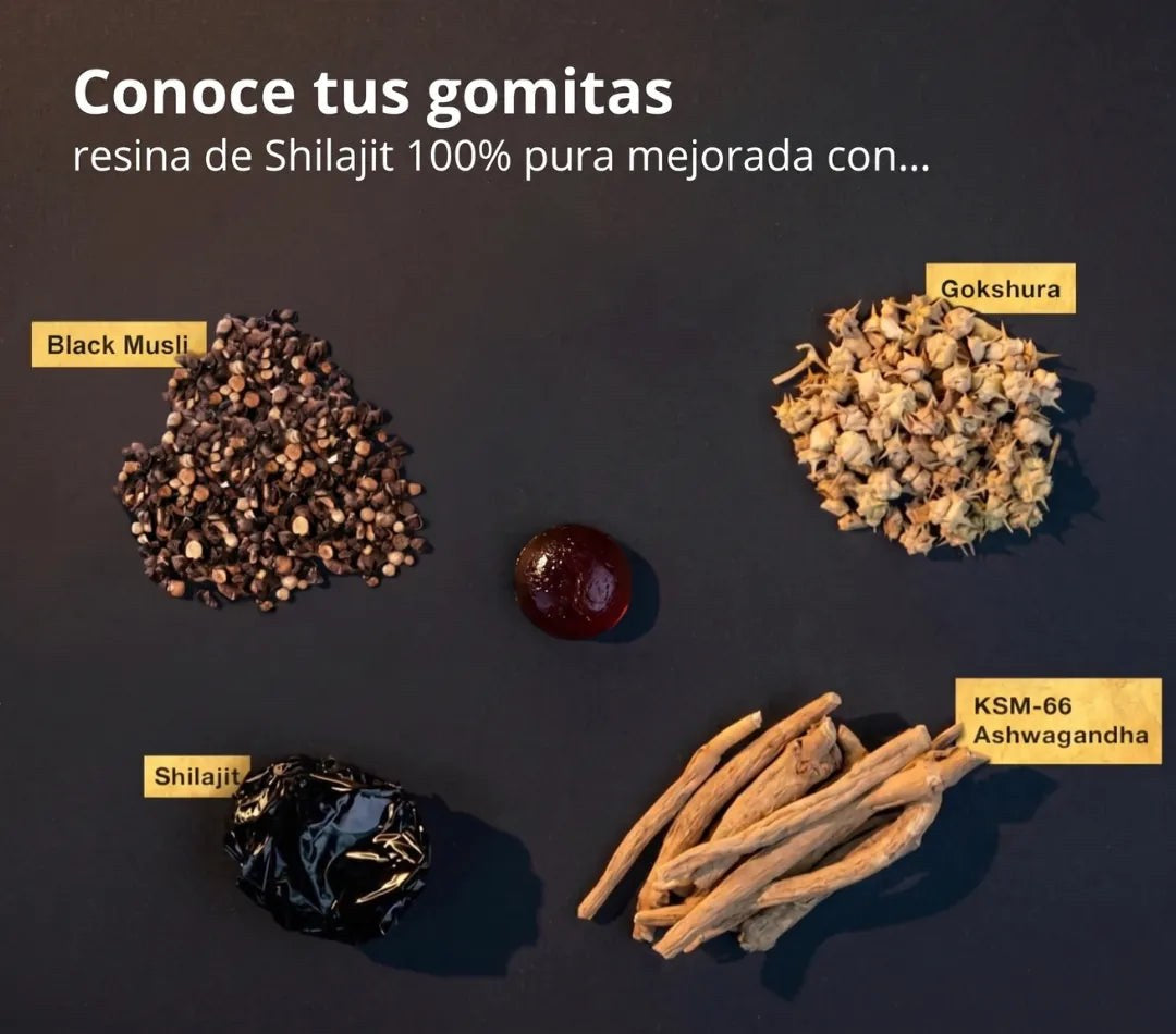 Soraya Gold – Gomitas de Shilajit